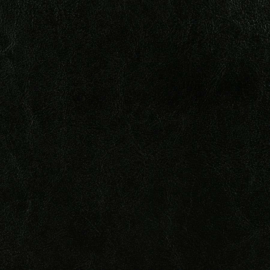 Twin Dorian Black Bed Frame by Coaster