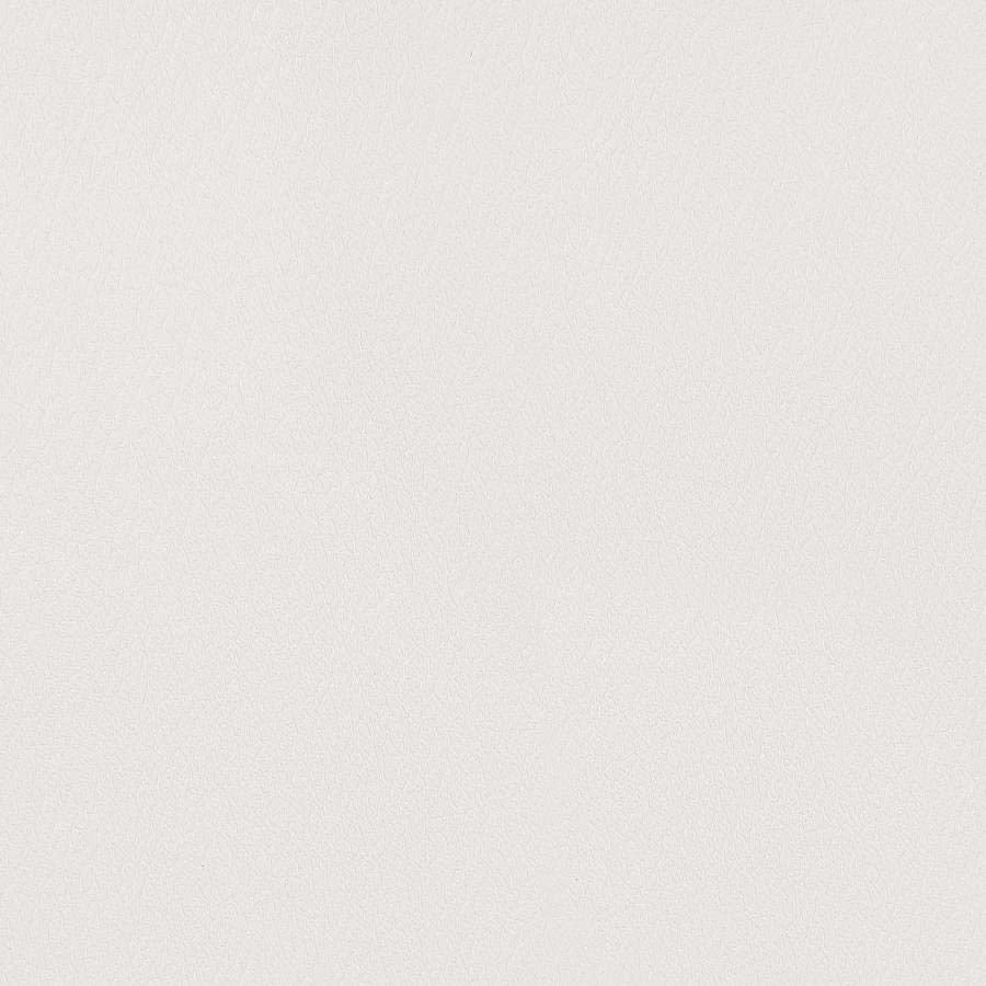 Himari White Office Chair by Coaster