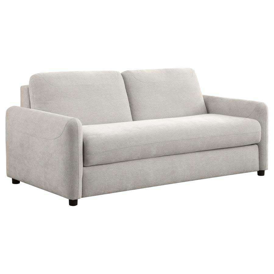 Rylie Beige Sleeper Sofa by Coaster