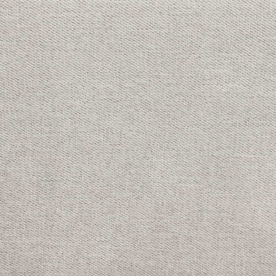 Rylie Beige Sleeper Sofa by Coaster