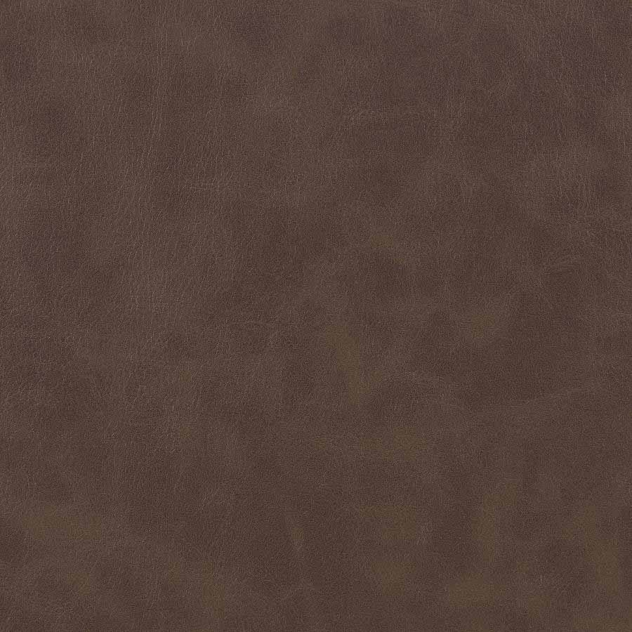 Nerris Brown Office Chair by Coaster