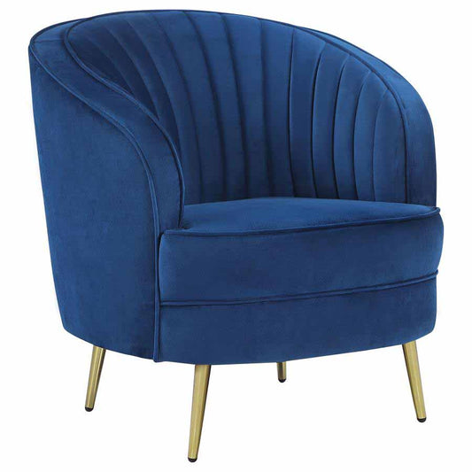 Sophia Blue Chair by Coaster