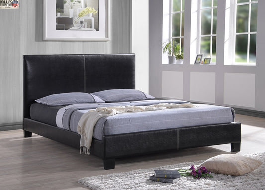 Queen Grayson Platform Bed Frame by Generation Trade